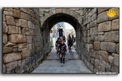 DSCF0342